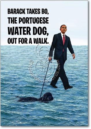 Waterdog Funny Birthday Card Nobleworks