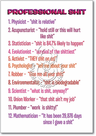 Professional Shit Unique Naughty Funny Birthday Paper Card Nobleworks