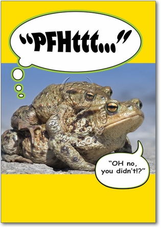 Frog Fart Naughty Humor Birthday Greeting Card Nobleworks