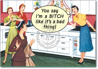 Bitch Naughty Humor Birthday Greeting Card Nobleworks