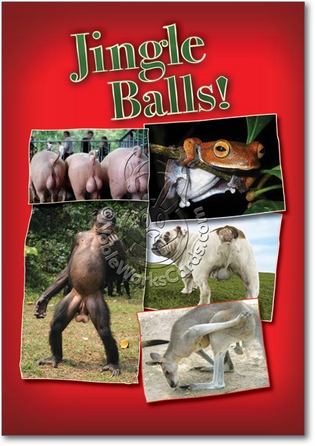 Jingle Balls Unique Humorous Merry Christmas Paper Card Nobleworks